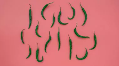 garnishing-instructions-image